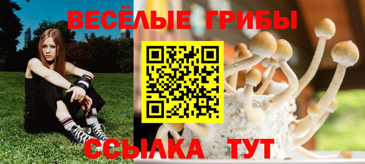 купить наркоту  Псилоцибиновые грибы мицелий  Вход с VPN  Ангарск  Псилоцибиновые грибы мицелий 
